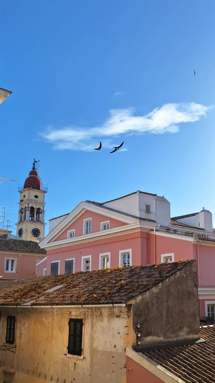 Studio Theotoki 2 Corfu  Εξωτερικό φωτογραφία